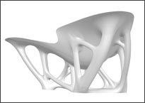 Bone Chair